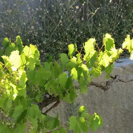 Magistrala Jesenice (Split-Dalmatia)